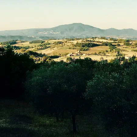 Holiday Torricello *